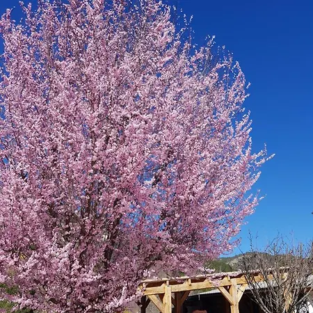 Calme Et Nature Castellane