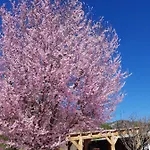 Calme Et Nature Castellane