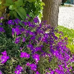 Calme Et Nature 3* Castellane