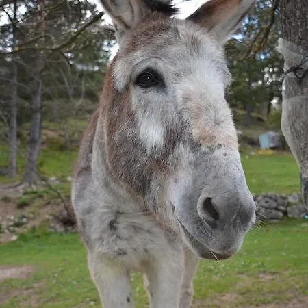 Campeggio Calme Et Nature Castellane