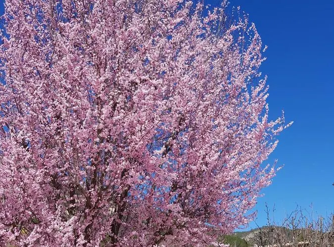 Calme Et Nature קסטלאנטה