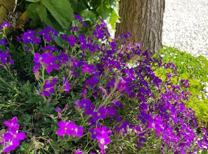 Calme Et Nature 3* קסטלאנטה